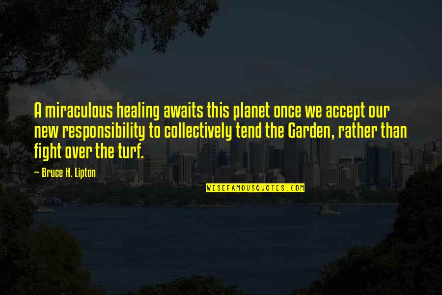 Bajke Brace Quotes By Bruce H. Lipton: A miraculous healing awaits this planet once we Bajke Brace Quotes By Bruce H. Lipton: A miraculous healing awaits this planet once we