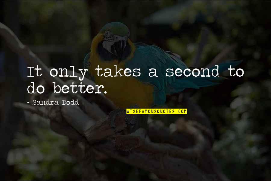 Bajramovic Amra Quotes By Sandra Dodd: It only takes a second to do better. Bajramovic Amra Quotes By Sandra Dodd: It only takes a second to do better.