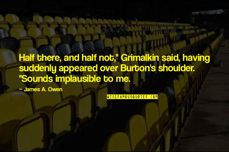 Bajrovic Izudin Quotes By James A. Owen: Half there, and half not," Grimalkin said, having Bajrovic Izudin Quotes By James A. Owen: Half there, and half not," Grimalkin said, having