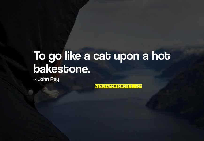Bakestone Quotes By John Ray: To go like a cat upon a hot