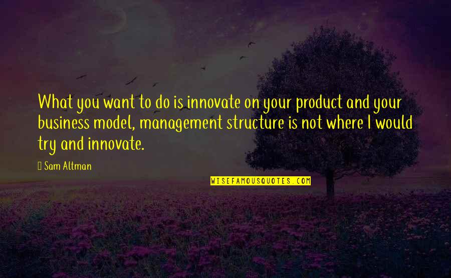 Baking And Friends Quotes By Sam Altman: What you want to do is innovate on