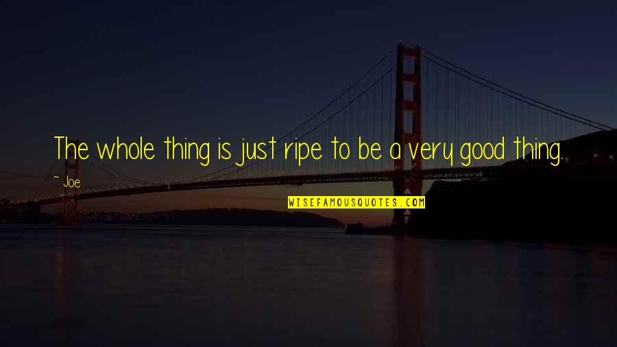Bakkar Rugs Quotes By Joe: The whole thing is just ripe to be