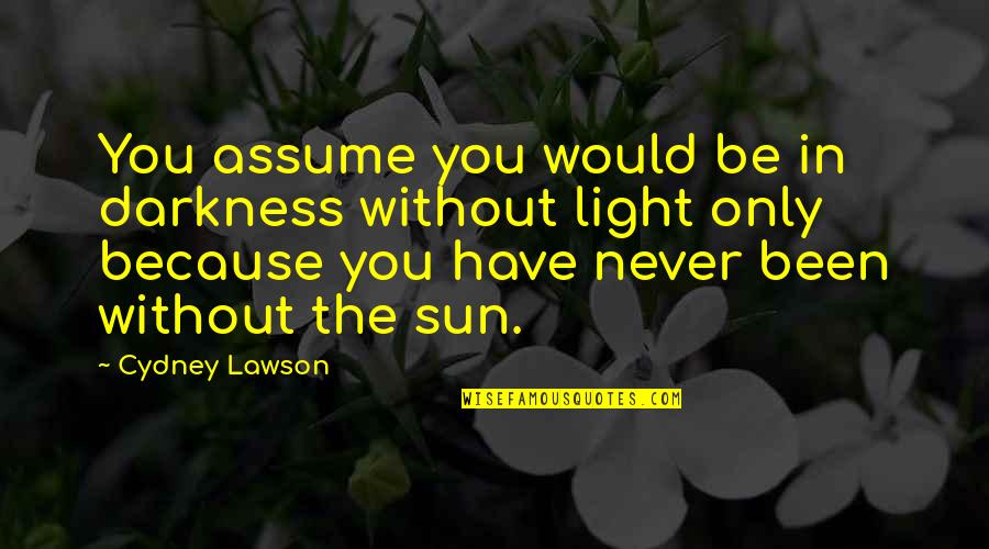 Baksheesh Sonoma Quotes By Cydney Lawson: You assume you would be in darkness without Baksheesh Sonoma Quotes By Cydney Lawson: You assume you would be in darkness without