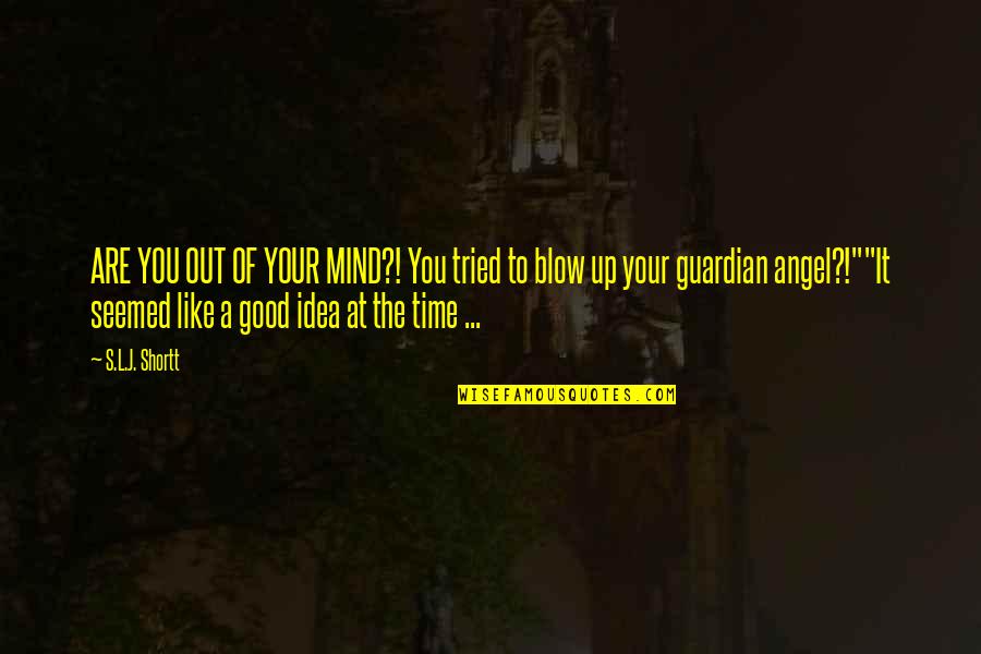 Bal Cky Od Mi Ky Quotes By S.L.J. Shortt: ARE YOU OUT OF YOUR MIND?! You tried Bal Cky Od Mi Ky Quotes By S.L.J. Shortt: ARE YOU OUT OF YOUR MIND?! You tried