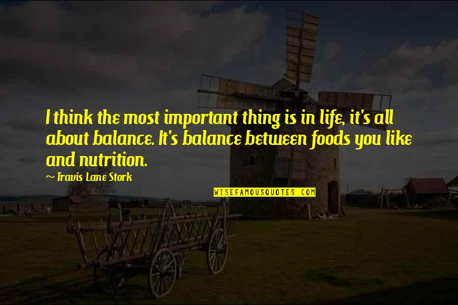 Balance And Life Quotes By Travis Lane Stork: I think the most important thing is in