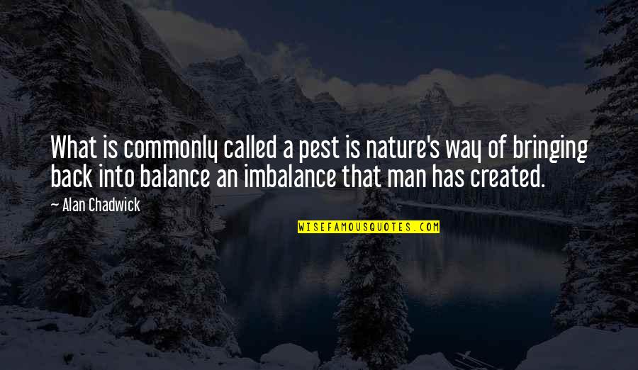 Balance In Nature Quotes By Alan Chadwick: What is commonly called a pest is nature's