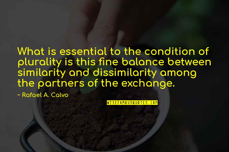 Balance What Is It Quotes By Rafael A. Calvo: What is essential to the condition of plurality