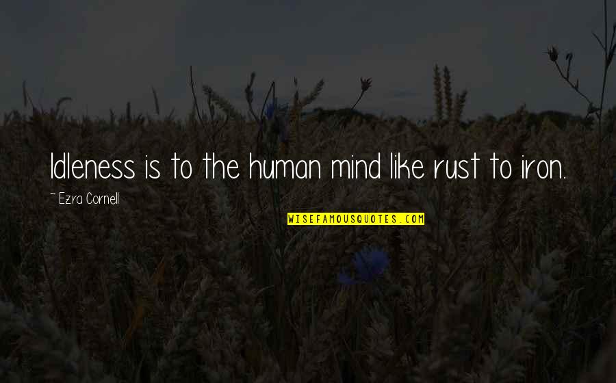 Balancers Eye Quotes By Ezra Cornell: Idleness is to the human mind like rust