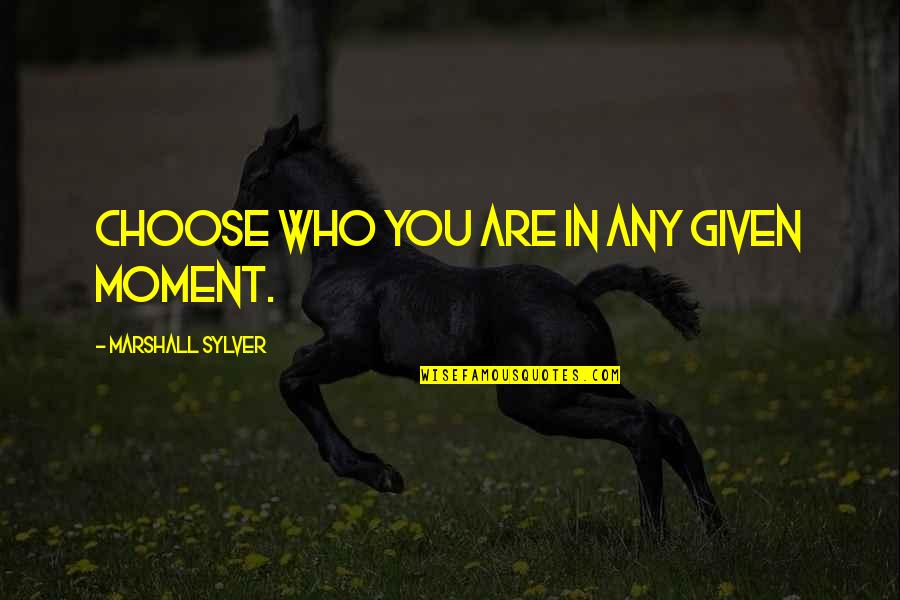 Balanzas De Laboratorio Quotes By Marshall Sylver: Choose who you are in any given moment. Balanzas De Laboratorio Quotes By Marshall Sylver: Choose who you are in any given moment.