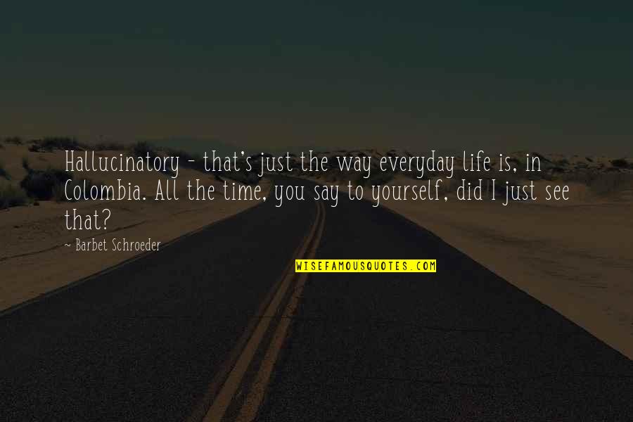 Balasundaram Nimalathasan Quotes By Barbet Schroeder: Hallucinatory - that's just the way everyday life
