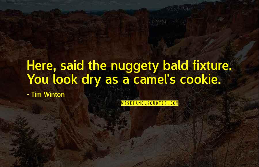Bald Look Quotes By Tim Winton: Here, said the nuggety bald fixture. You look