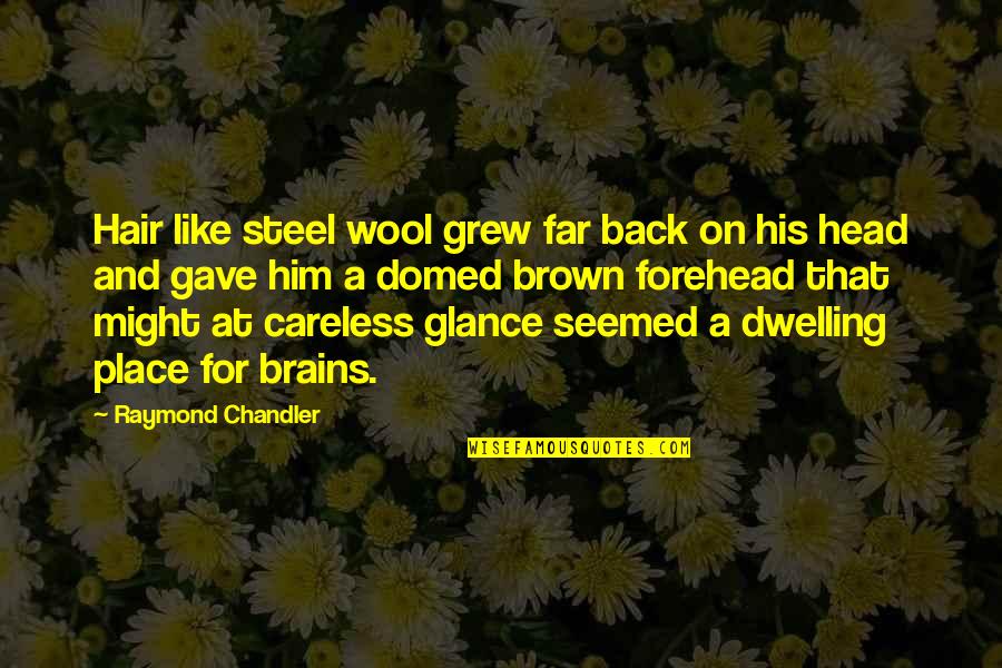 Baldemor Restaurant Quotes By Raymond Chandler: Hair like steel wool grew far back on