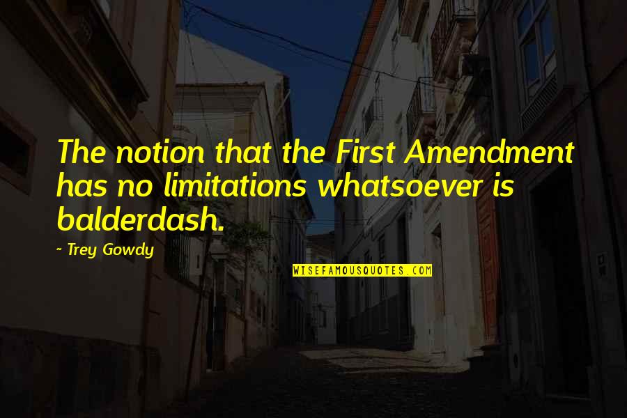 Balderdash Quotes By Trey Gowdy: The notion that the First Amendment has no