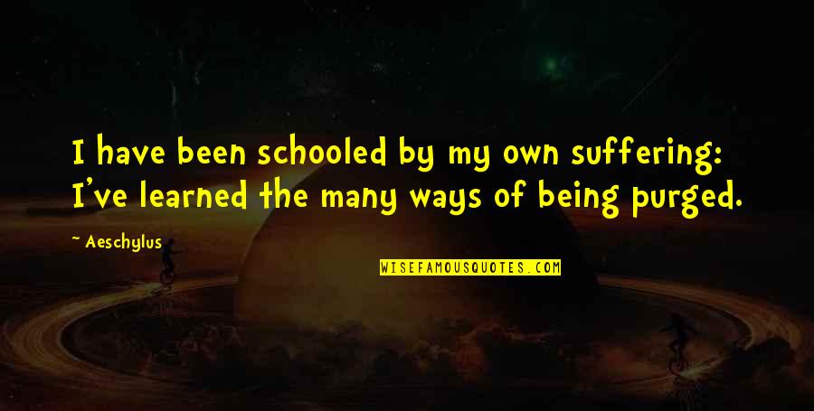 Baldrs Magic Quotes By Aeschylus: I have been schooled by my own suffering: