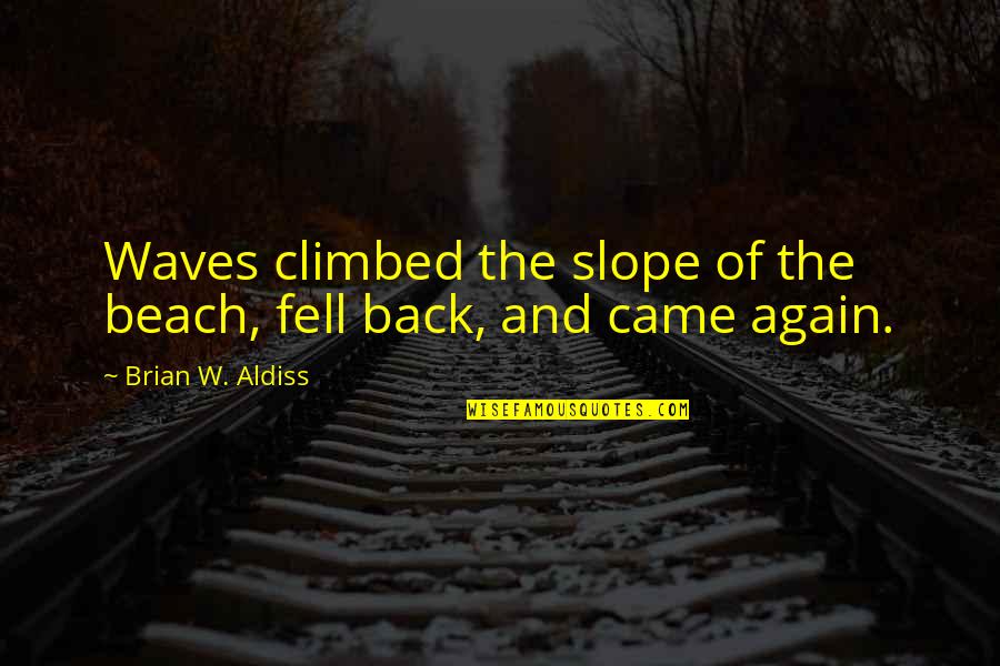 Baleful Beasts Quotes By Brian W. Aldiss: Waves climbed the slope of the beach, fell