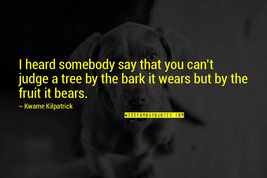 Balinski And Youngs Impossibility Quotes By Kwame Kilpatrick: I heard somebody say that you can't judge