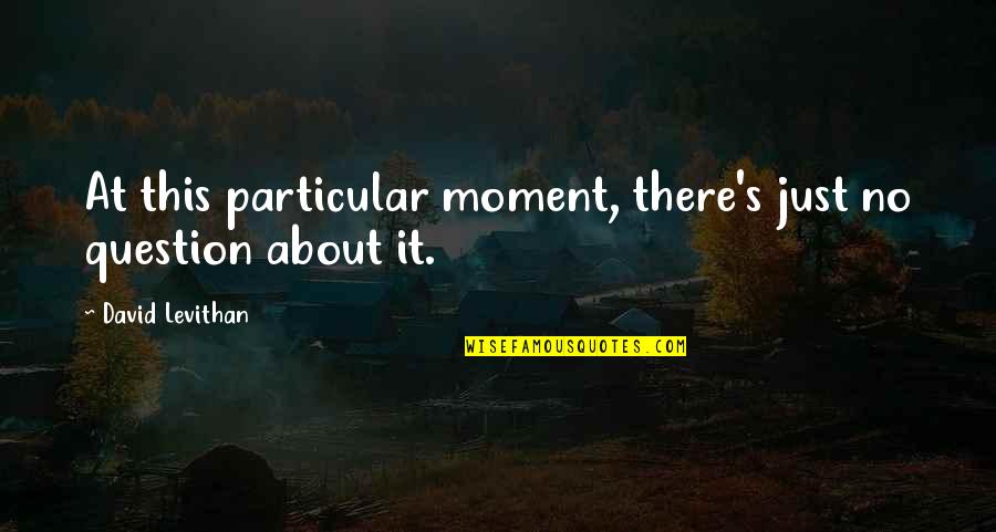 Balkenende Blues Quotes By David Levithan: At this particular moment, there's just no question
