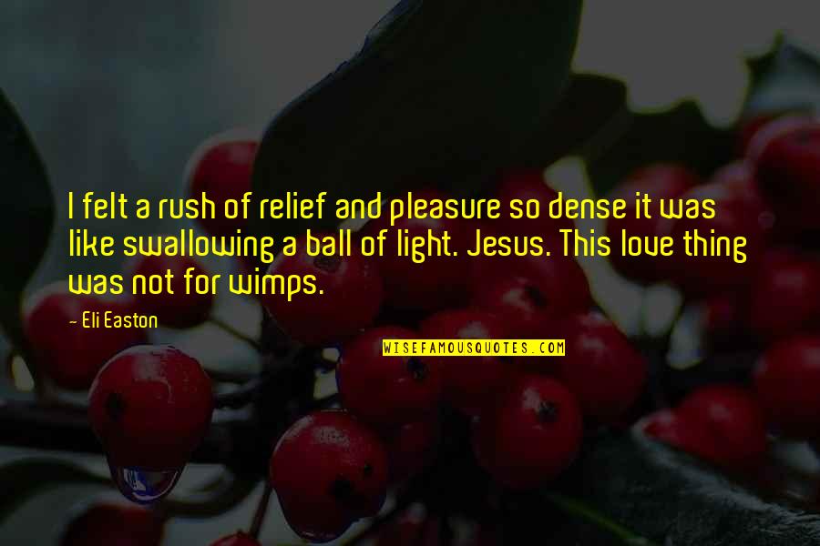 Ball Of Light Quotes By Eli Easton: I felt a rush of relief and pleasure