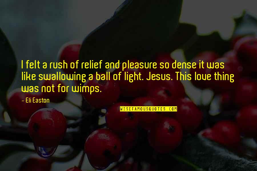 Ball Of Love Quotes By Eli Easton: I felt a rush of relief and pleasure