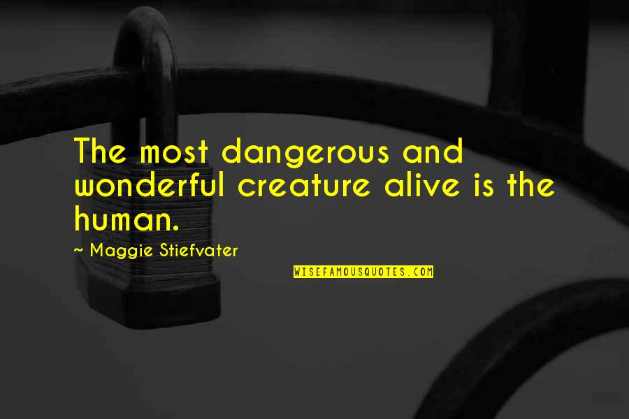 Ballad Quotes By Maggie Stiefvater: The most dangerous and wonderful creature alive is