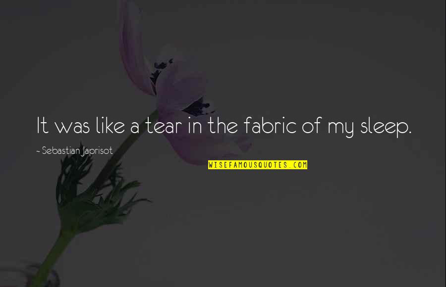 Ballads Of The Revelation Quotes By Sebastian Japrisot: It was like a tear in the fabric Ballads Of The Revelation Quotes By Sebastian Japrisot: It was like a tear in the fabric