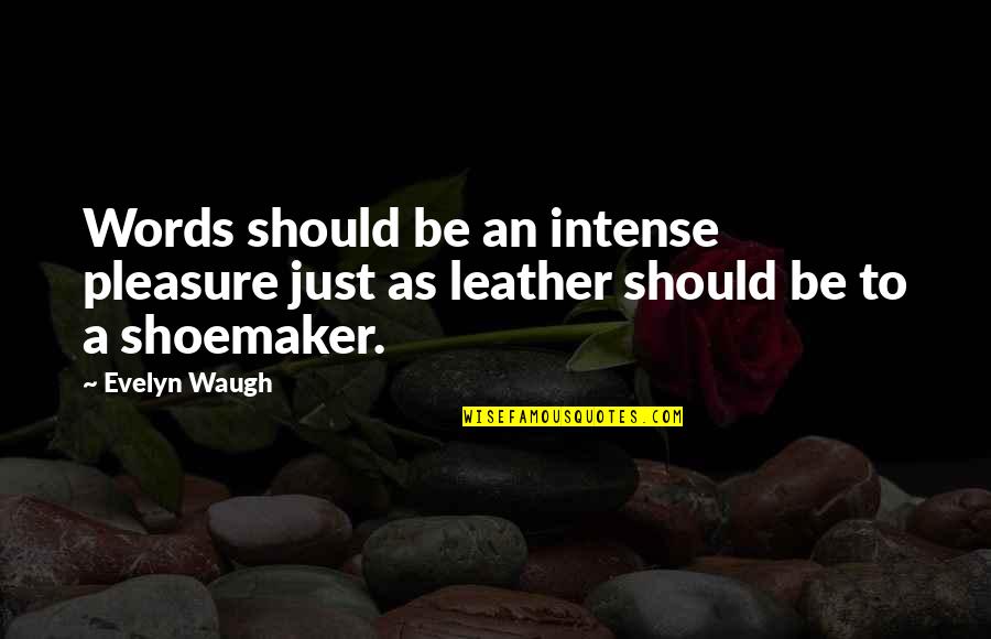 Ballaunce Quotes By Evelyn Waugh: Words should be an intense pleasure just as