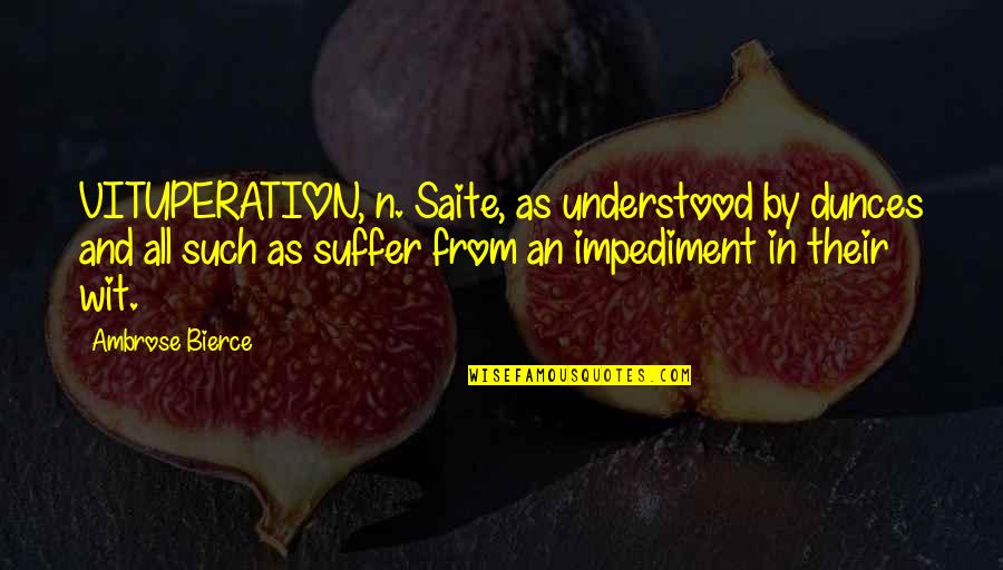 Ballhaus Video Quotes By Ambrose Bierce: VITUPERATION, n. Saite, as understood by dunces and