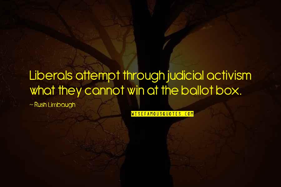 Ballot Quotes By Rush Limbaugh: Liberals attempt through judicial activism what they cannot