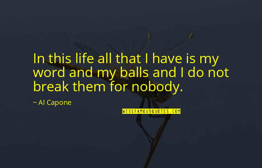 Balls And Life Quotes By Al Capone: In this life all that I have is