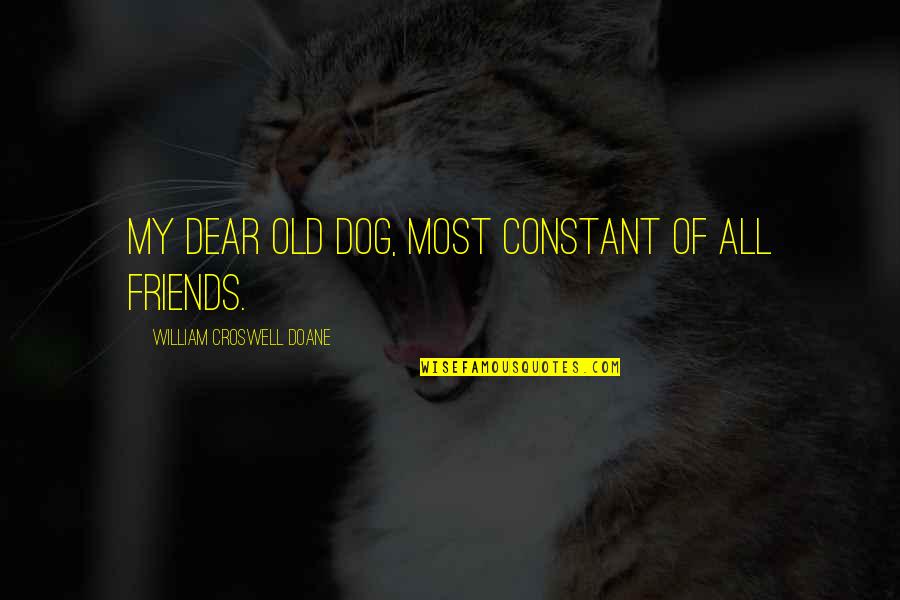 Ballybunion Old Quotes By William Croswell Doane: My dear old dog, most constant of all