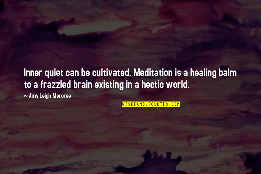 Balm Quotes By Amy Leigh Mercree: Inner quiet can be cultivated. Meditation is a