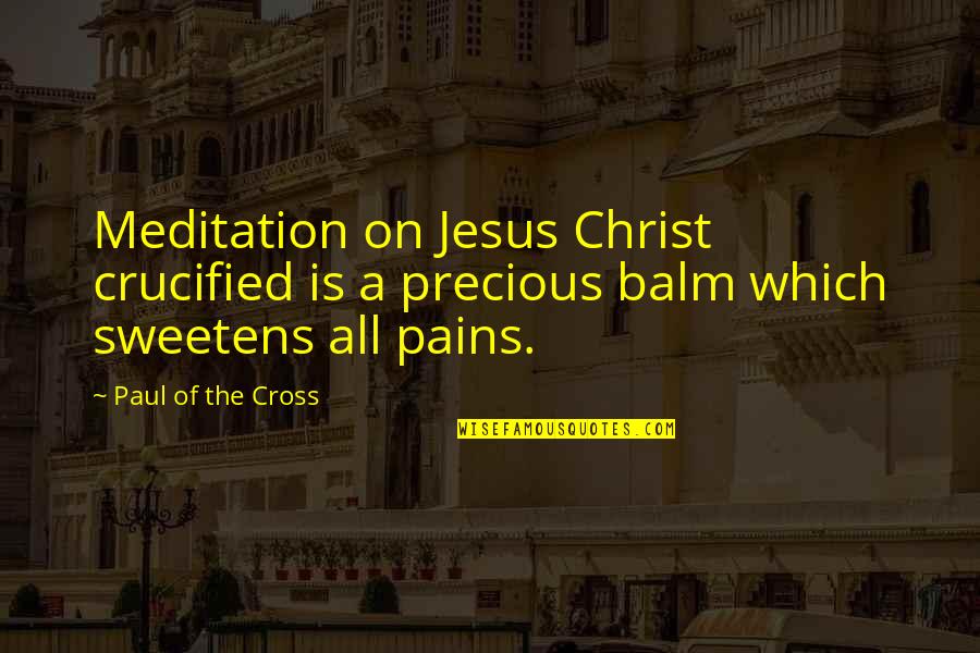 Balm Quotes By Paul Of The Cross: Meditation on Jesus Christ crucified is a precious
