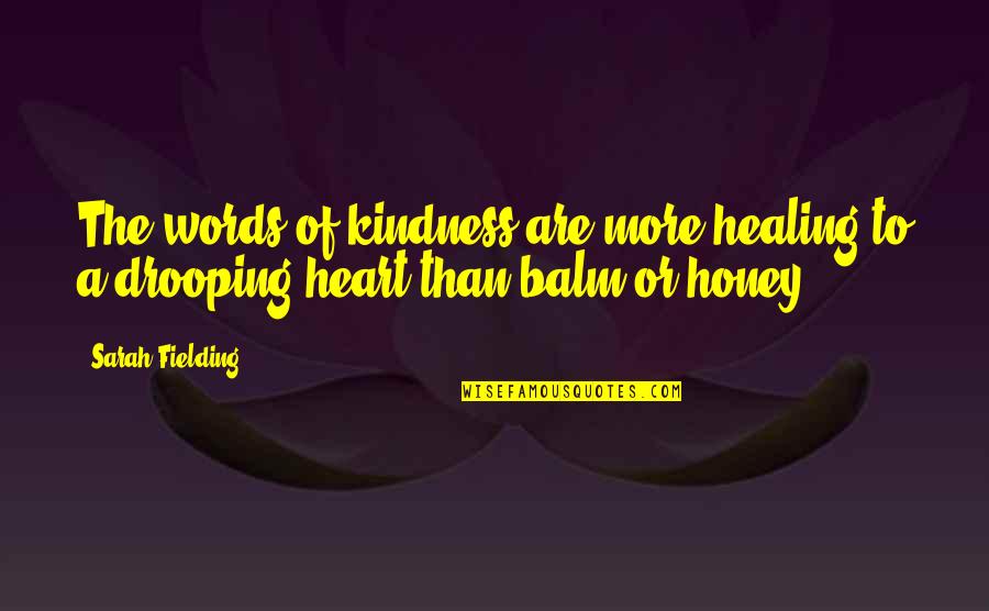 Balm Quotes By Sarah Fielding: The words of kindness are more healing to