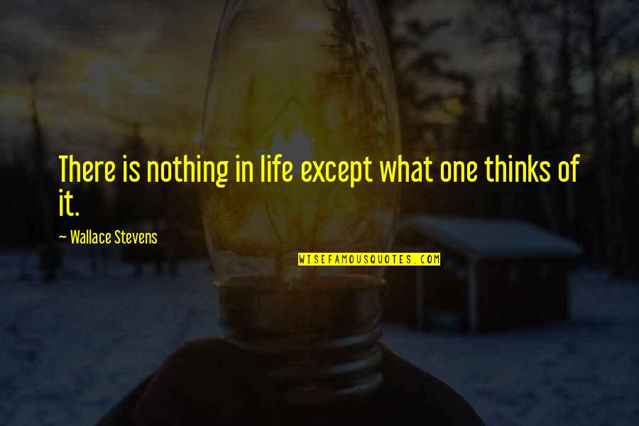 Balmer Quotes By Wallace Stevens: There is nothing in life except what one Balmer Quotes By Wallace Stevens: There is nothing in life except what one