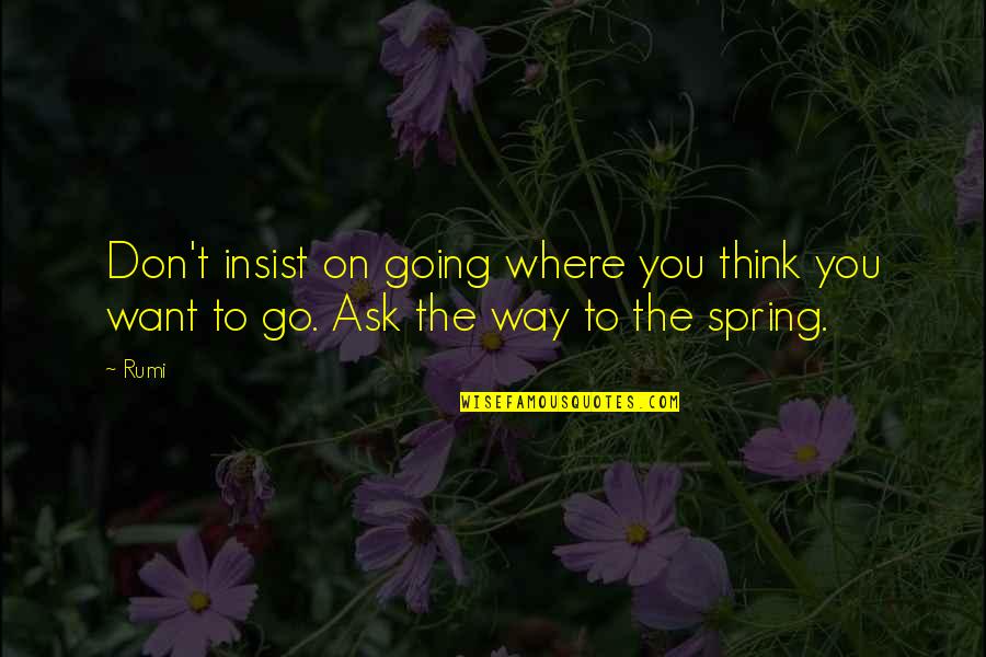 Balmori Associates Quotes By Rumi: Don't insist on going where you think you