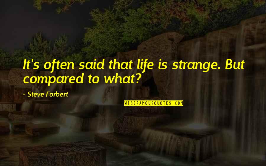 Balogh Cimke Quotes By Steve Forbert: It's often said that life is strange. But