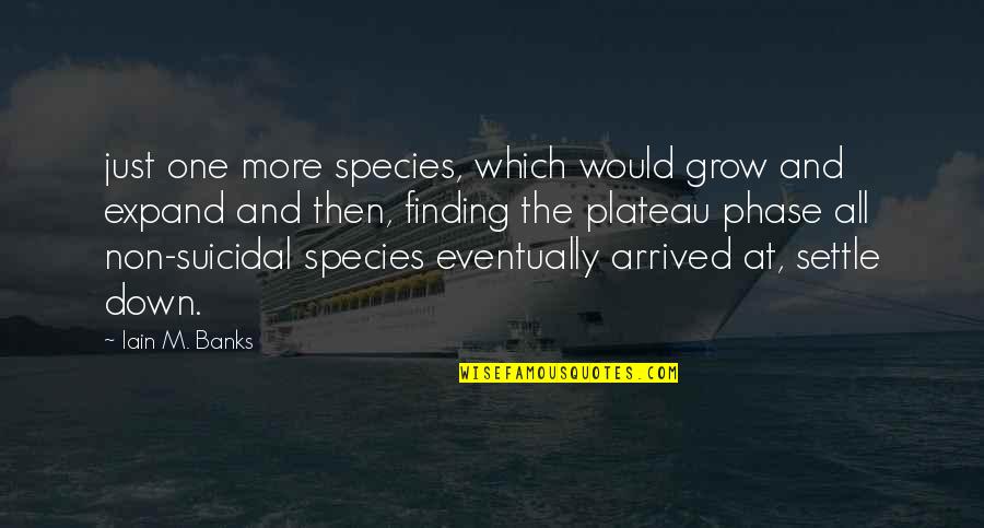 Balos Crete Quotes By Iain M. Banks: just one more species, which would grow and