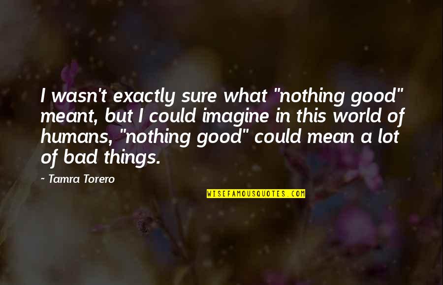 Balram Jakhar Quotes By Tamra Torero: I wasn't exactly sure what "nothing good" meant,