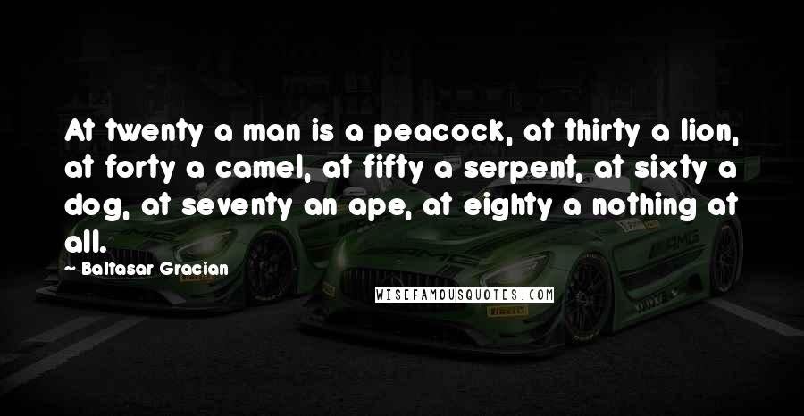 Baltasar Gracian quotes: At twenty a man is a peacock, at thirty a lion, at forty a camel, at fifty a serpent, at sixty a dog, at seventy an ape, at eighty a