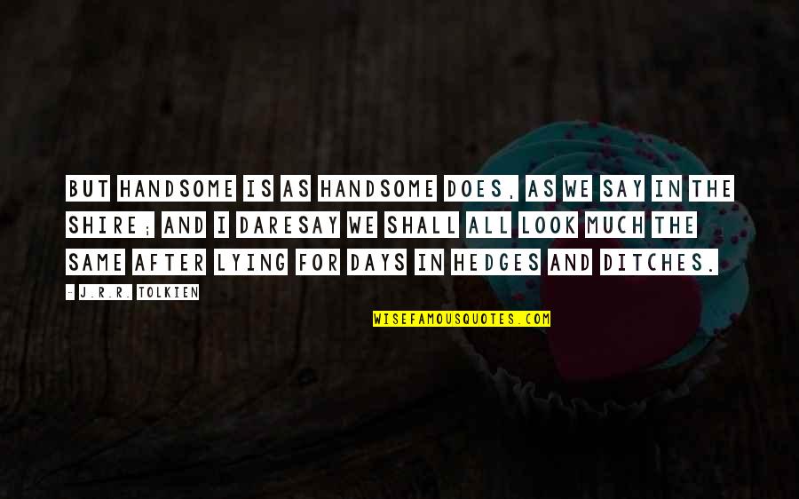 Baltes Theory Quotes By J.R.R. Tolkien: But handsome is as handsome does, as we Baltes Theory Quotes By J.R.R. Tolkien: But handsome is as handsome does, as we