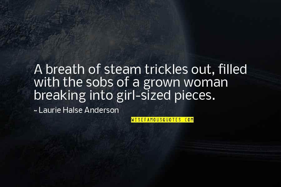 Balthazars Song Quotes By Laurie Halse Anderson: A breath of steam trickles out, filled with