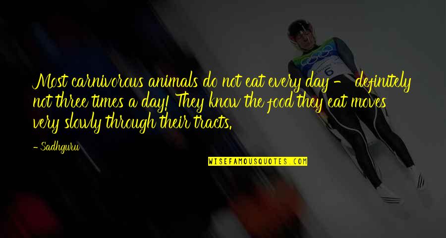 Baltodano Baltodano Quotes By Sadhguru: Most carnivorous animals do not eat every day