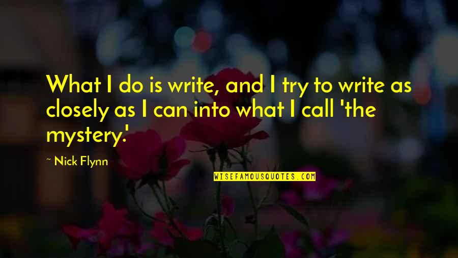 Baltzar Hoffman Quotes By Nick Flynn: What I do is write, and I try