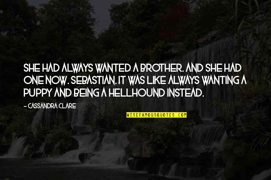 Balustrades Quotes By Cassandra Clare: She had always wanted a brother. And she