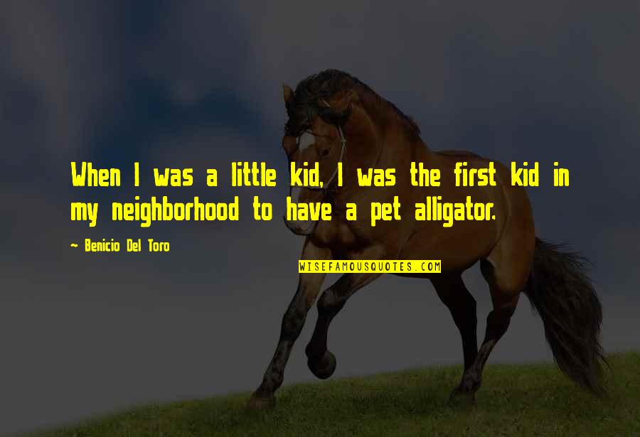 Balzola Field Quotes By Benicio Del Toro: When I was a little kid, I was