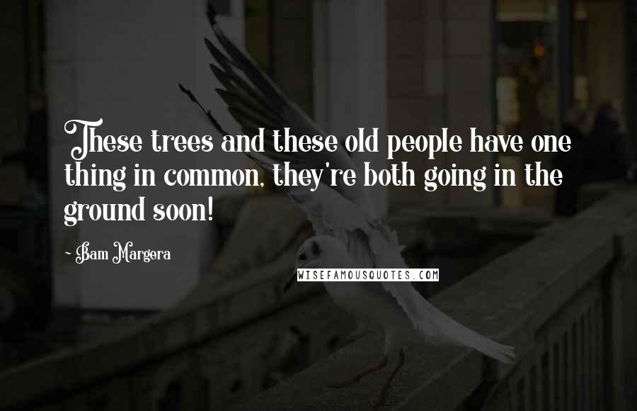 Bam Margera quotes: These trees and these old people have one thing in common, they're both going in the ground soon!