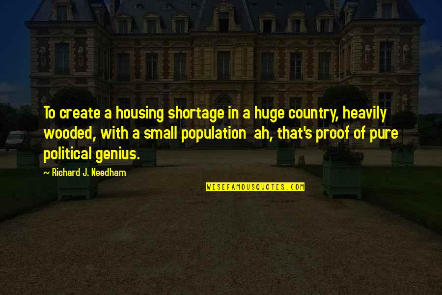Baman Piderman Quotes By Richard J. Needham: To create a housing shortage in a huge