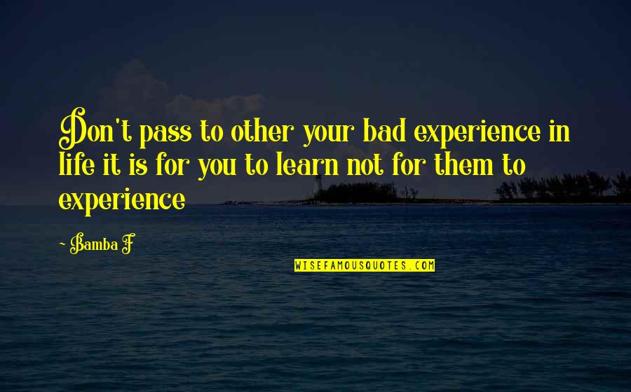 Bamba Quotes By Bamba F: Don't pass to other your bad experience in