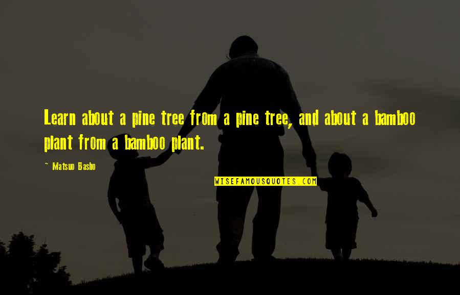 Bamboo's Quotes By Matsuo Basho: Learn about a pine tree from a pine