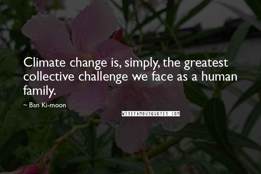 Ban Ki-moon quotes: Climate change is, simply, the greatest collective challenge we face as a human family.